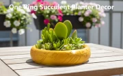 One Ring Succulent Planter Decor, One Ring Cacti & Bonsai Planter & Catchall, Unique Ring Jar for Cacti, Bonsai & Decor, Inspired by The Legendary Ring, Gift for The Ring Fans - Image 8