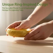 One Ring Succulent Planter Decor, One Ring Cacti & Bonsai Planter & Catchall, Unique Ring Jar for Cacti, Bonsai & Decor, Inspired by The Legendary Ring, Gift for The Ring Fans - Image 5