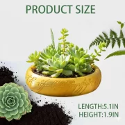 One Ring Succulent Planter Decor, One Ring Cacti & Bonsai Planter & Catchall, Unique Ring Jar for Cacti, Bonsai & Decor, Inspired by The Legendary Ring, Gift for The Ring Fans - Image 7