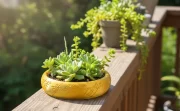 One Ring Succulent Planter Decor, One Ring Cacti & Bonsai Planter & Catchall, Unique Ring Jar for Cacti, Bonsai & Decor, Inspired by The Legendary Ring, Gift for The Ring Fans - Image 12
