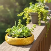 One Ring Succulent Planter Decor, One Ring Cacti & Bonsai Planter & Catchall, Unique Ring Jar for Cacti, Bonsai & Decor, Inspired by The Legendary Ring, Gift for The Ring Fans - Image 4