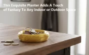 One Ring Succulent Planter Decor, One Ring Cacti & Bonsai Planter & Catchall, Unique Ring Jar for Cacti, Bonsai & Decor, Inspired by The Legendary Ring, Gift for The Ring Fans - Image 9