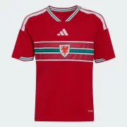 Wales 2026 Home Jersey - Youth